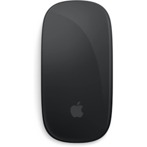 Apple Magic Mouse Multi-Touch